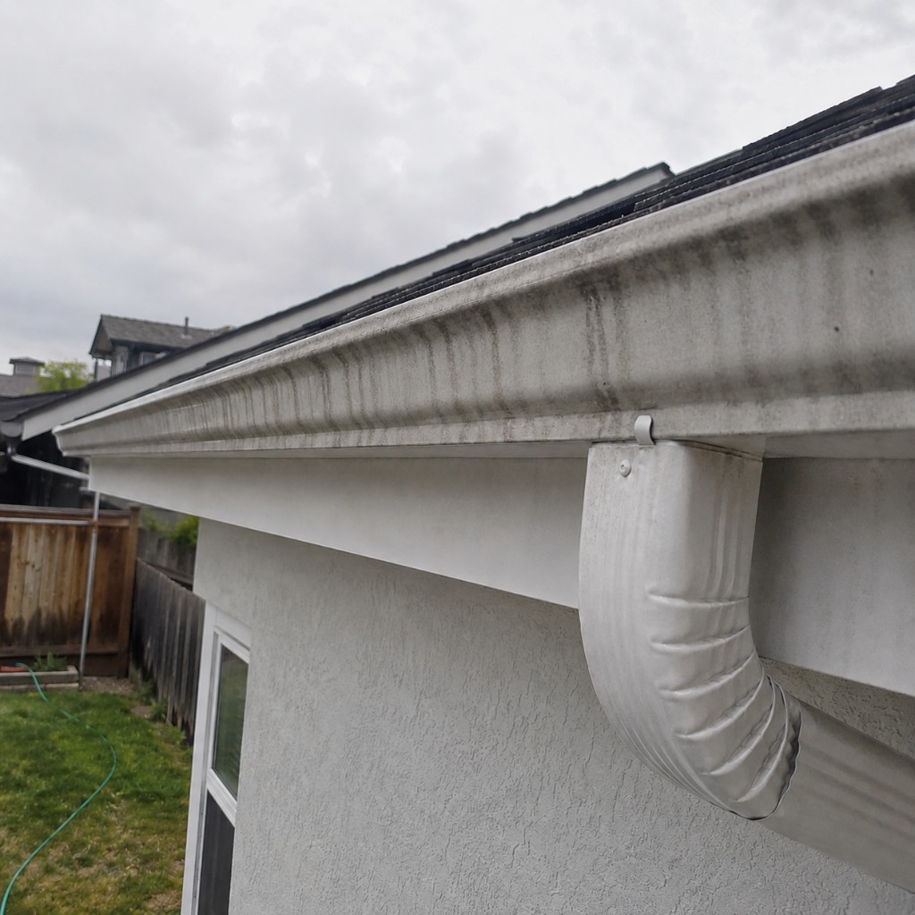 Gutter cleaning — before